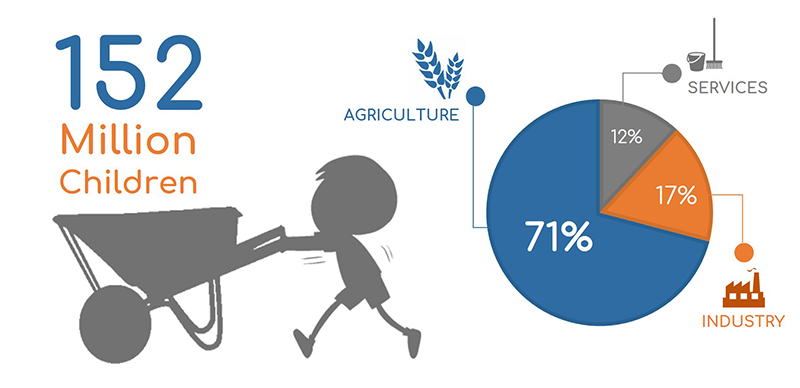 Child Labour Statistics